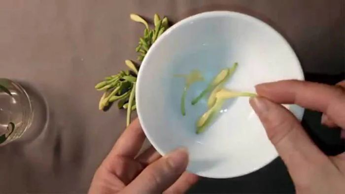 Hình ảnh minh họa: Cách chế biến hoa đu đủ đực trị ho