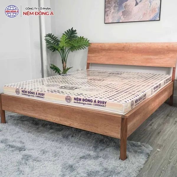 Bộ sưu tập nệm Đông Á - Thiết kế hiện đại, công nghệ tiên tiến