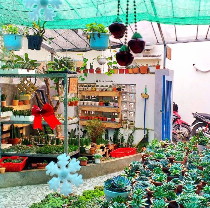 Không gian trưng bày sen đá đầy màu sắc tại Win Garden