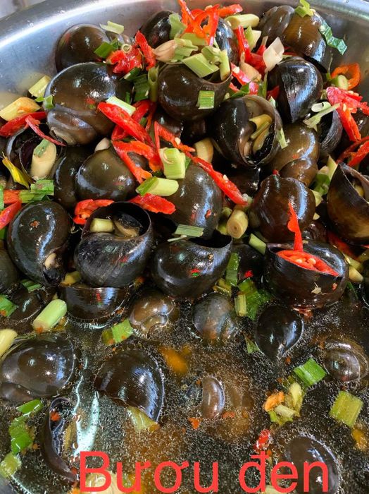 Không gian quán và những món ốc hấp dẫn tại Ốc Hút Hạnh - Ảnh 1