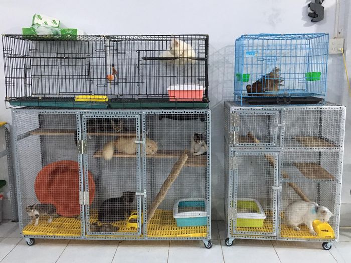 Hình ảnh chân thực về Phòng khám thú y Hữu Nhân