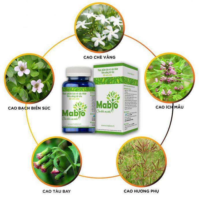Viên uống lợi sữa Mabio ảnh 2