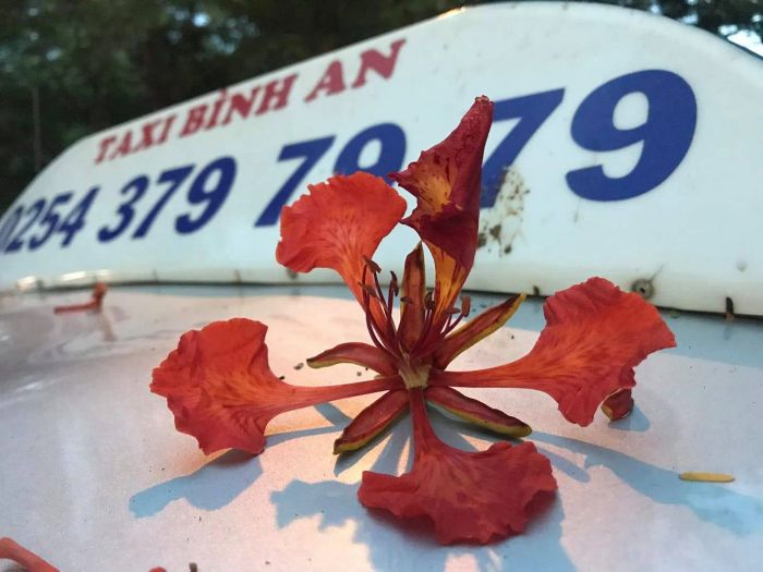 Hình ảnh dịch vụ Taxi Bình An (ảnh 2)