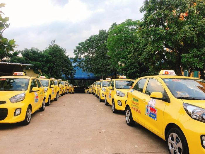 Hình ảnh đội xe Taxi Sài Gòn - CN Vũng Tàu
