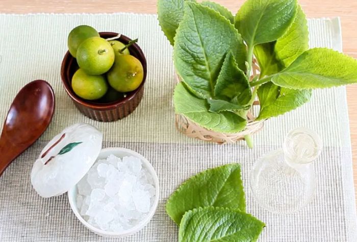 Hình ảnh minh họa: Cách chế biến lá húng chanh trị ho hiệu quả