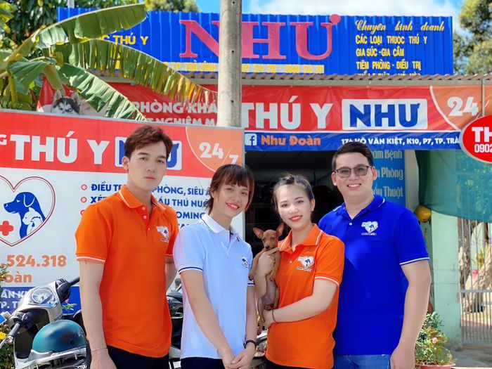 Hình ảnh ấn tượng về không gian hiện đại và ấm cúng tại Phòng Khám Thú Y Như