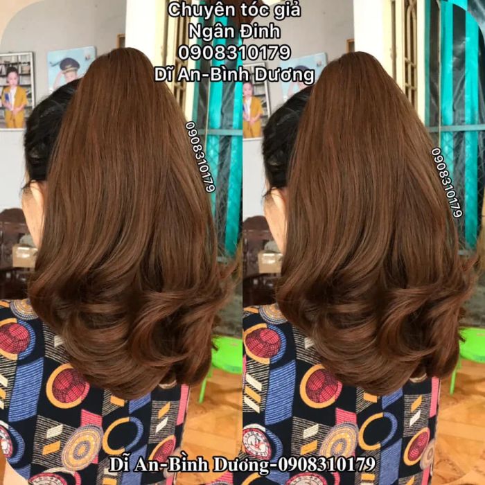 Tóc Giả Ngân Đinh hình ảnh 2