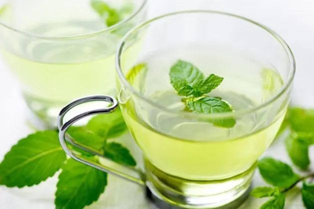 Hình ảnh minh họa: Cách chế biến lá bạc hà trị ho
