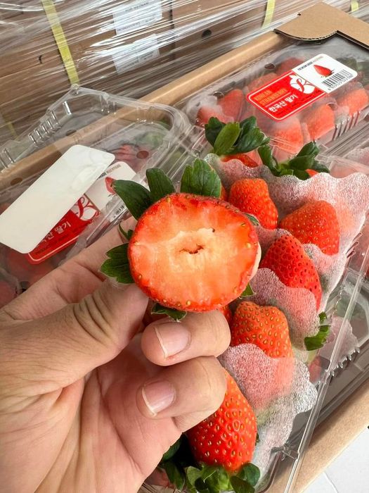 Bộ sưu tập trái cây đa dạng và tươi mới tại MaFruits