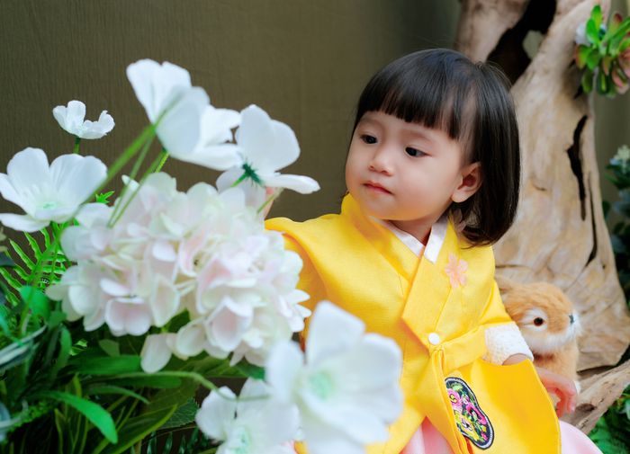 Tác phẩm nghệ thuật hoàng gia tại Kingstudio Gia Lai - Ảnh 1