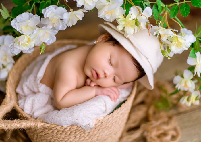 Tác phẩm nghệ thuật đặc sắc từ Lục Linh Studio - Ảnh 1