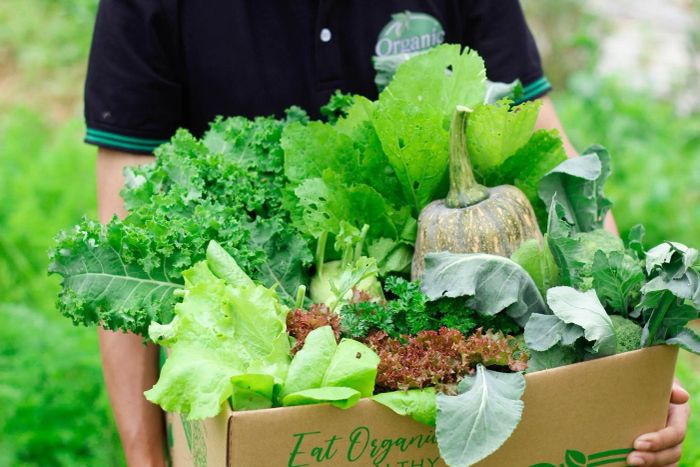 Không gian mua sắm tại Organic Food (ảnh 1)
