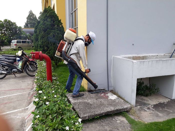Bộ sưu tập hình ảnh công trình trước và sau khi xử lý bởi Đông Nam Á