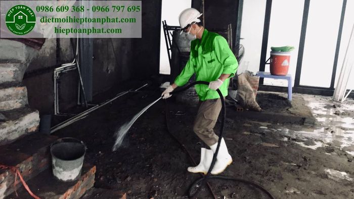 Hình ảnh đội ngũ chuyên gia Hiệp Toàn Phát thi công diệt mối chuyên nghiệp