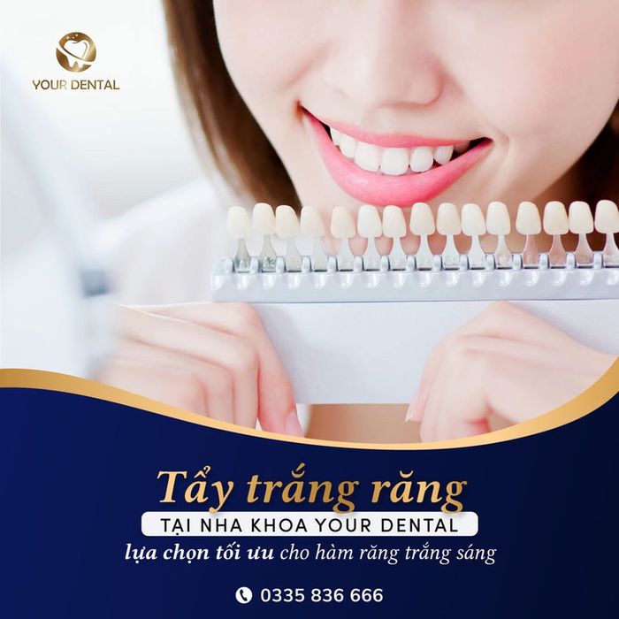 Không gian hiện đại và sang trọng tại Your Dental