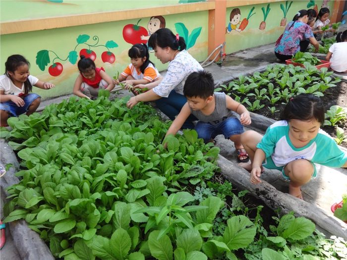 Hình ảnh Trường Mầm non Rạng Đông 10 lần 2