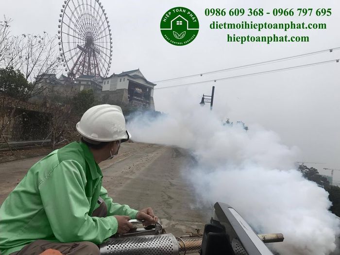 Hình ảnh thực tế thi công diệt mối của Hiệp Toàn Phát - Minh chứng cho chất lượng dịch vụ vượt trội