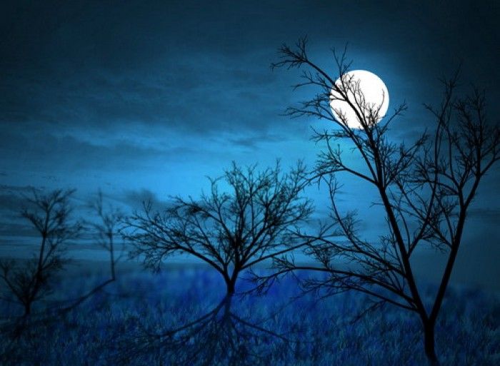 Hình ảnh minh họa: Vầng trăng đêm