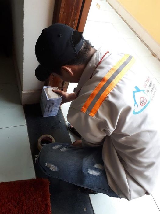 Bộ sưu tập hình ảnh công trình trước và sau khi xử lý bởi đội ngũ Đại Toàn Việt
