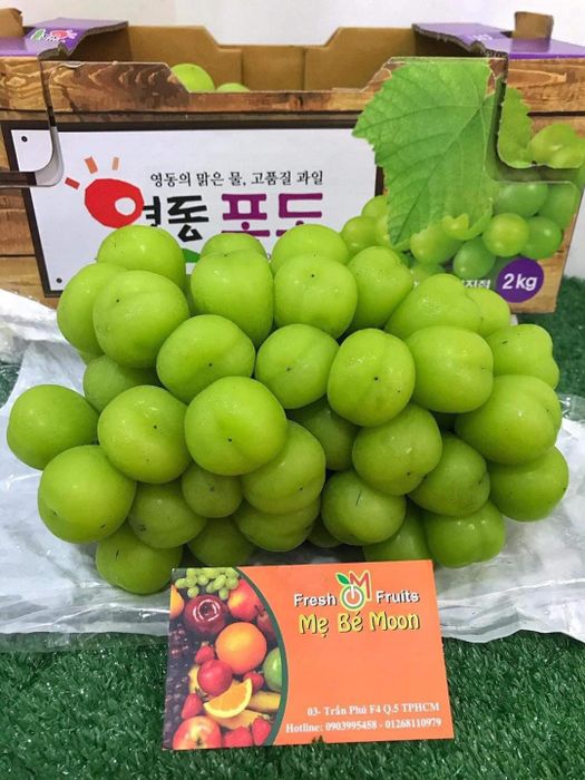 Bộ sưu tập trái cây nhập khẩu đa dạng tại Fresh Fruits Shop