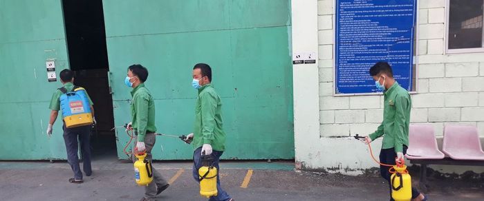 Hình ảnh hoạt động diệt mối chuyên nghiệp của Công ty Trần Anh