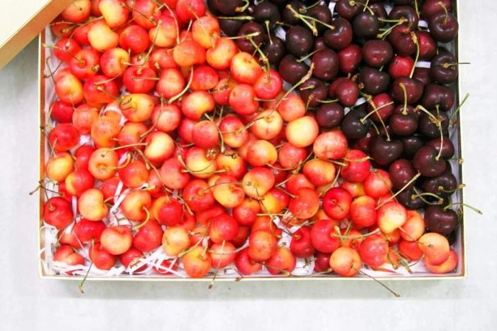 Sản phẩm chất lượng tại Thực Phẩm An (ảnh 2)