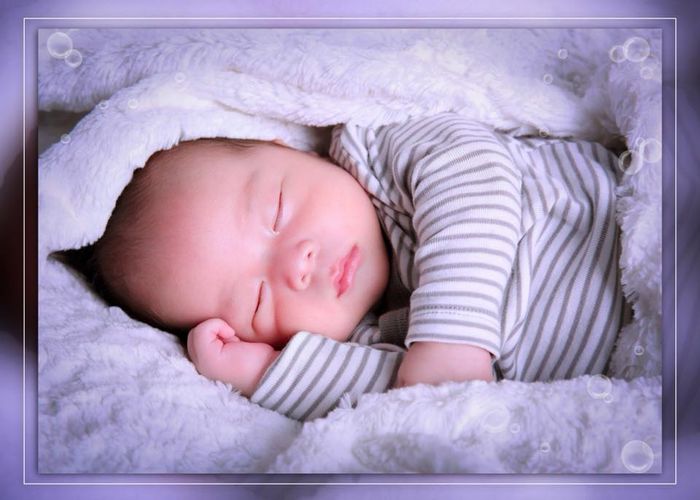 Tuyển tập khoảnh khắc đáng yêu tại Studio Bon Beo - Ảnh 2