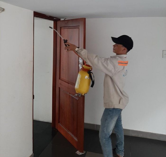 Hình ảnh thực tế quy trình diệt mối an toàn bằng công nghệ Hóa Sinh của Đại Toàn Việt