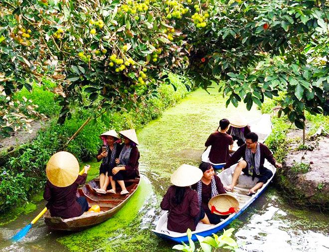 Vườn trái cây Phong Điền ảnh 1 - Khu vườn trái cây bạt ngàn