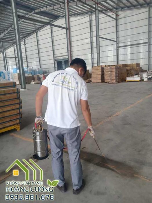 Bộ sưu tập hình ảnh trước và sau khi xử lý mối của Công ty Diệt Mối 247