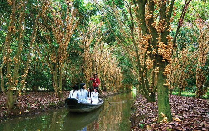 Khoảnh khắc đẹp: Cuộc sống miệt vườn qua ống kính tại Vàm Xáng