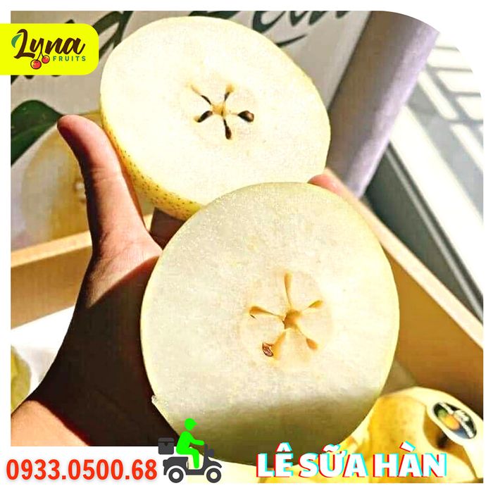 Bộ sưu tập trái cây nhập khẩu đa dạng tại Lyna Fruits