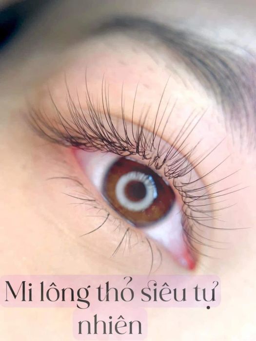 Tuyết Linh Nối Mi ảnh 2