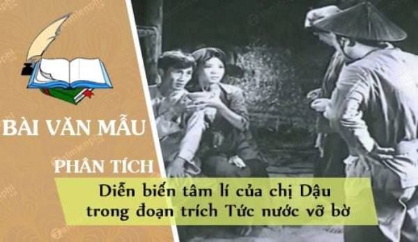 Hình ảnh minh họa sinh động về cảnh 'Tức nước vỡ bờ' (Nguồn: Internet)