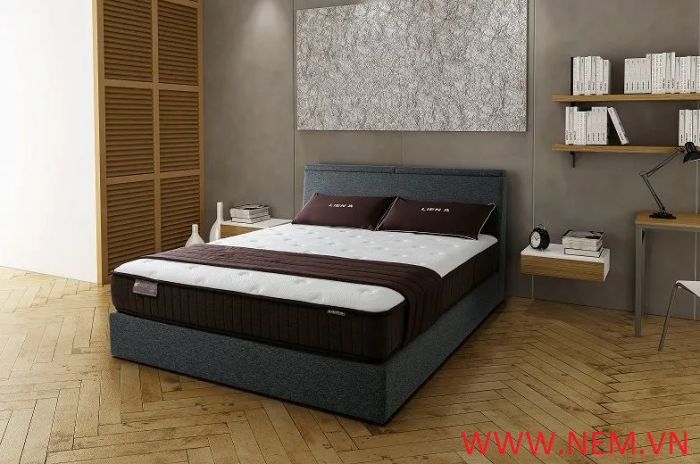 Bộ sưu tập nệm cao cấp tại Thế Giới Mới