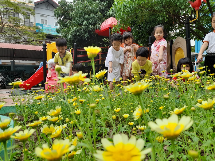Hoạt động học tập đầy màu sắc tại Trường Mầm non Hoa Hồng