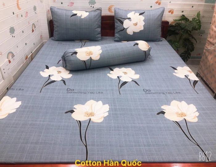 Bộ sưu tập chăn ga gối đạt chuẩn quốc gia