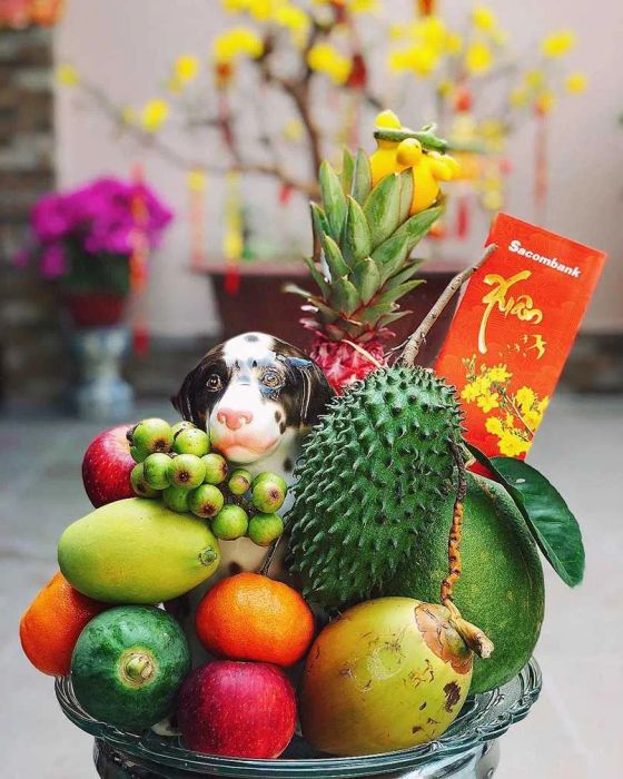 Hình ảnh mâm ngũ quả truyền thống