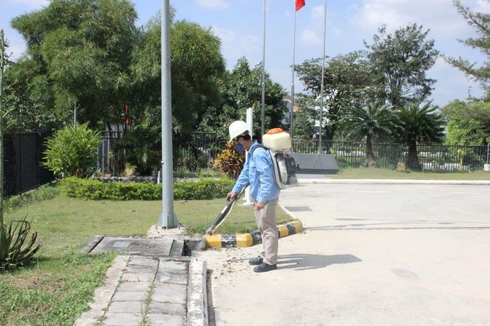 Bộ sưu tập dự án tiêu biểu của Công ty TNHH Dịch vụ & Thương mại Nhà Việt