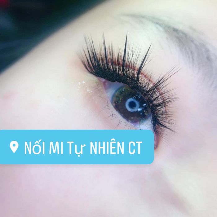 Hình ảnh thực tế tại Trinh Nối Mi