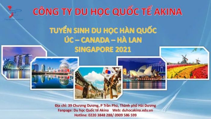 Hình ảnh hoạt động tư vấn tại Du học Akina