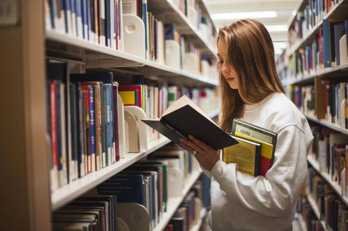 Hoạt động tư vấn du học tại VNIS Education