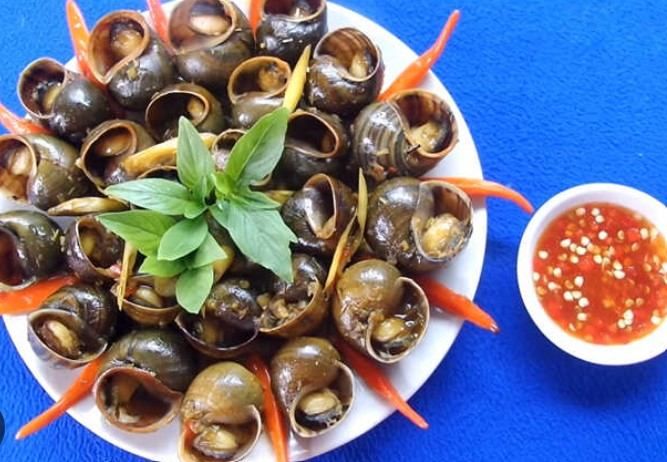 Không Gian Ấm Cúng Tại Ốc Cô Hiền (Ảnh 2)