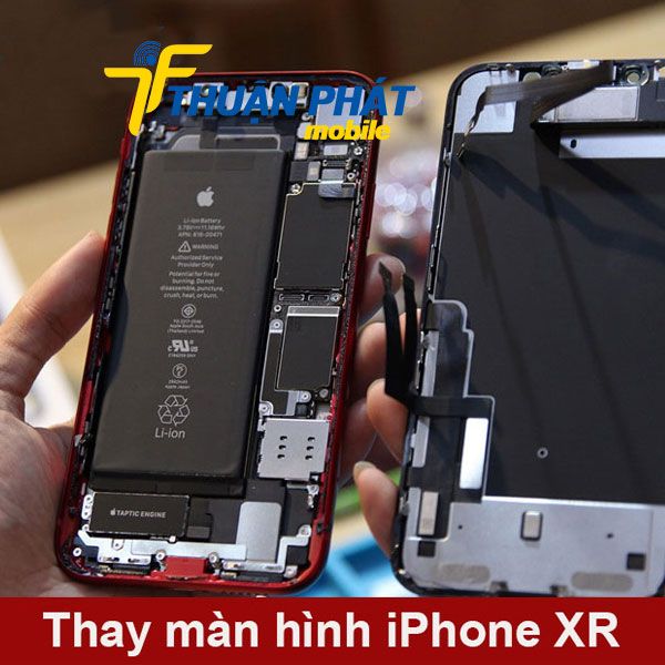 Không gian làm việc chuyên nghiệp tại Thuận Phát Mobile