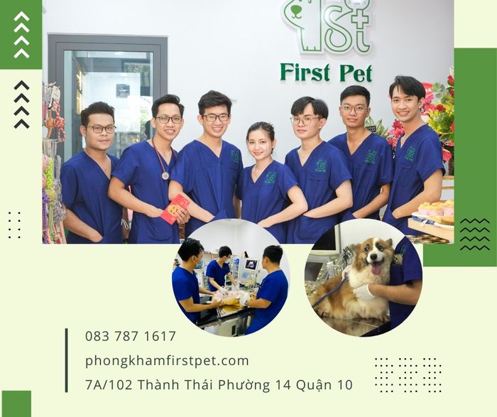 Không gian hiện đại tại Phòng khám Thú Y First Pet