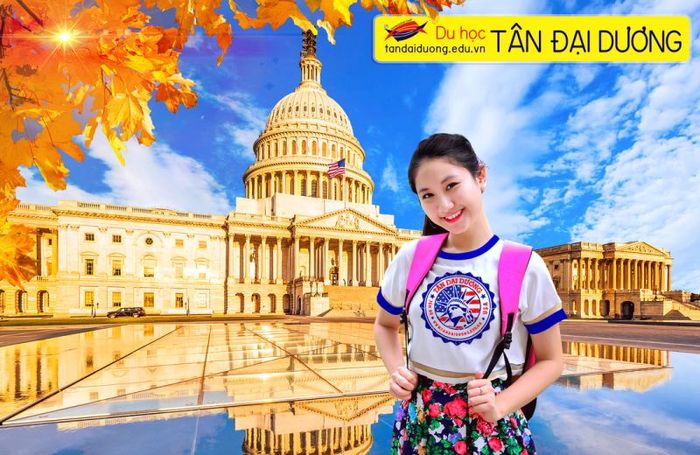 Không gian làm việc chuyên nghiệp tại Tân Đại Dương