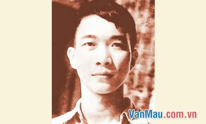Ảnh minh họa lấy từ internet, ảnh 1