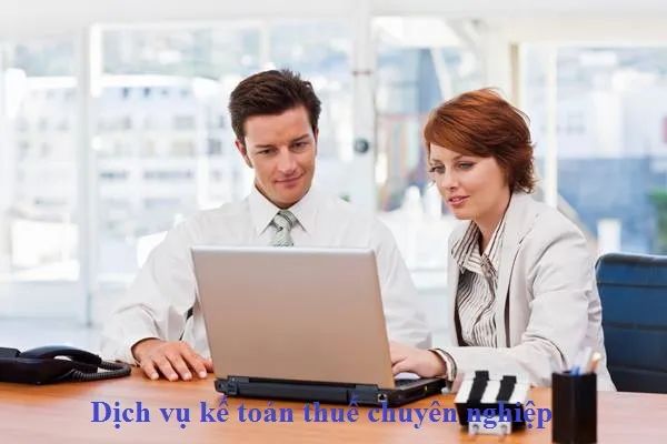 Kế toán Lê Ánh - Nơi chắp cánh cho nghiệp vụ kế toán chuyên nghiệp (Ảnh minh họa 2)