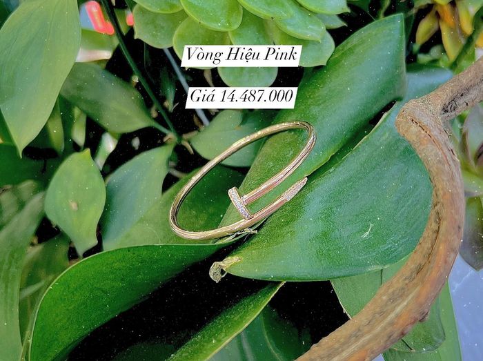 Hình ảnh Tiệm Vàng Tuyết Ngân 2