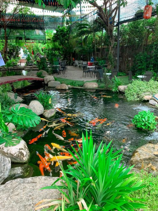 Ảnh của Gosanke Koi Coffee 3